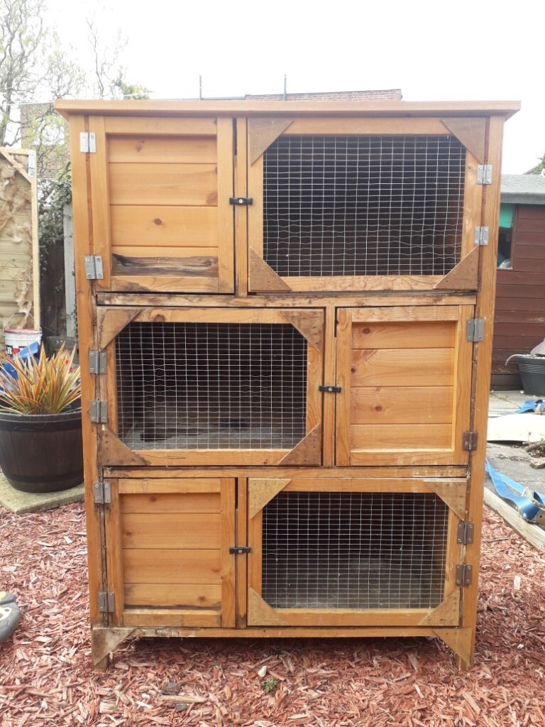 triple rabbit hutch